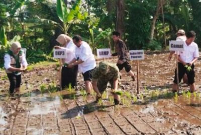 Gerakan Tanam Padi Serentak, Koramil Purwodadi Dukung Penguatan Ketahanan Pangan