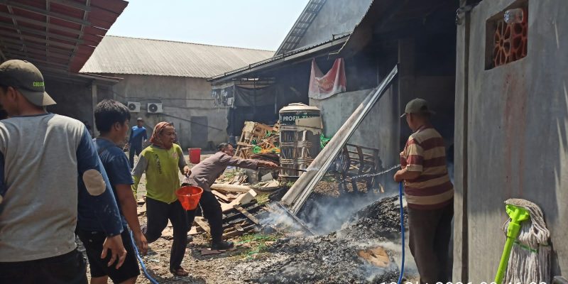 Kebakaran Hanguskan Toko Bangunan di Gandusari Blitar, Kerugian Ditaksir Capai Setengah Miliar Rupiah